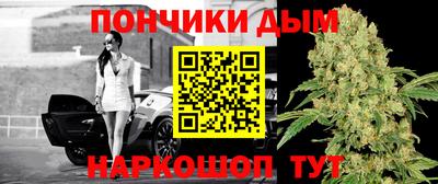 дмт Кимры