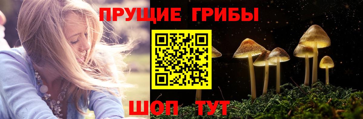 Галлюциногенные грибы мицелий Благовещенск