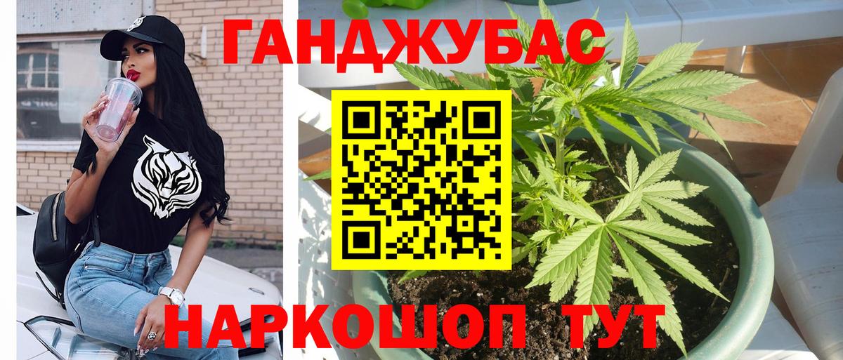 Конопля тримм  Вход с VPN  Благовещенск  МАРИХУАНА Bruce Banner  Каннабис сатива 